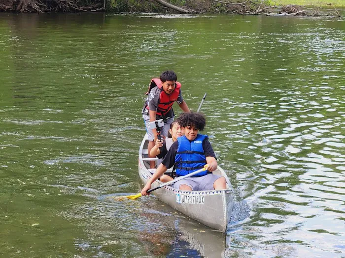 Cedar Springs Camp Picture 8