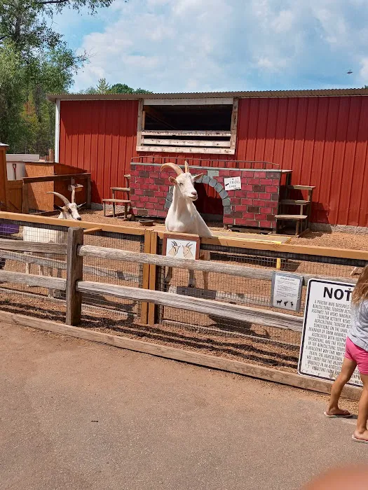 Pine Grove Campground Picture 15