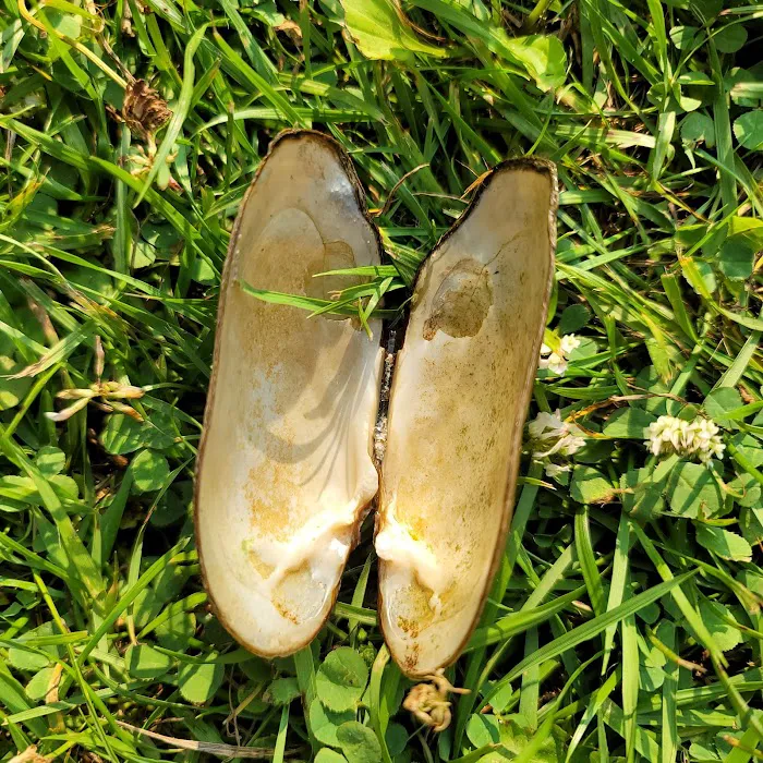 Many Trails Campground Picture 10