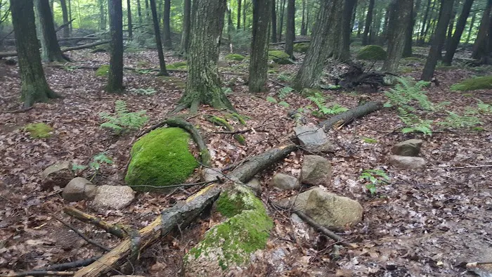 Many Trails Campground Picture 8