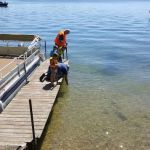 Holt Park Campground