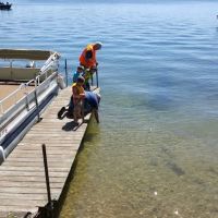 Holt Park Campground ico