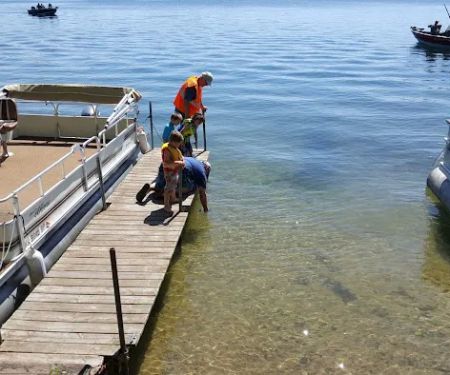 Holt Park Campground