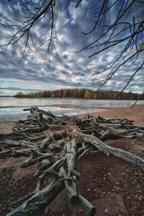 Big Eau Pleine Group Campsite Picture 7