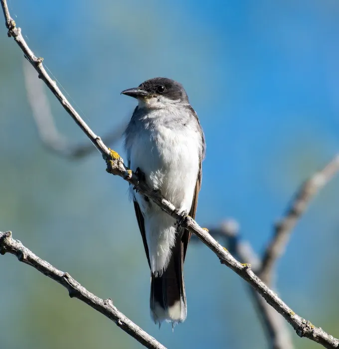 Big Eau Pleine Group Campsite Picture 3