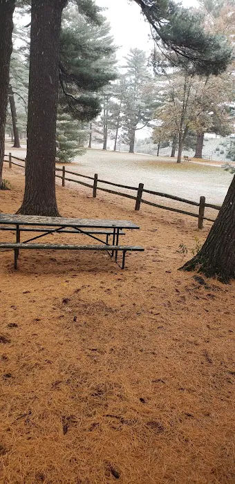 Marathon Park Campground Picture 3