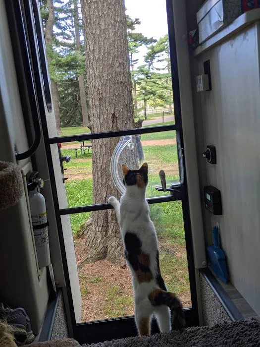 Marathon Park Campground Picture 8