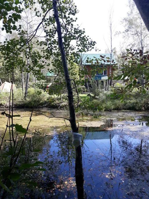 The Wellness Retreat Picture 2