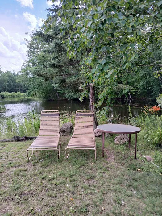 The Wellness Retreat Picture 8