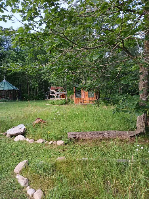 The Wellness Retreat Picture 4