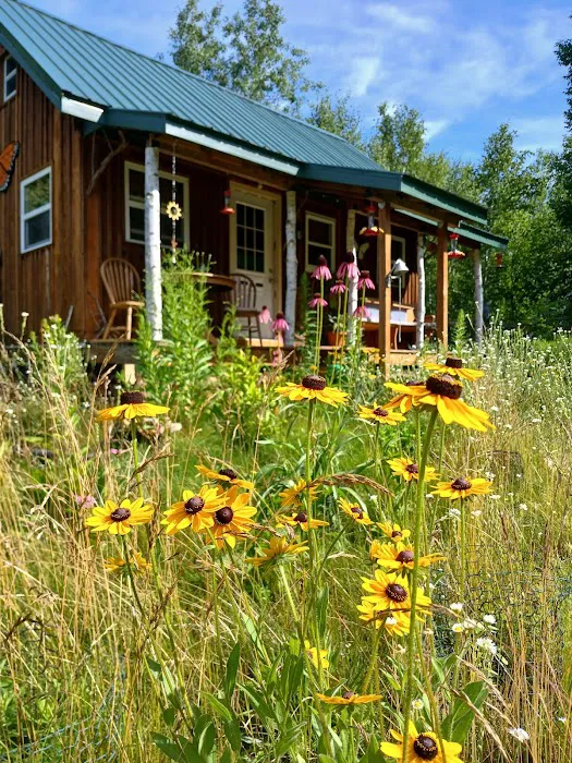 The Wellness Retreat Picture 7