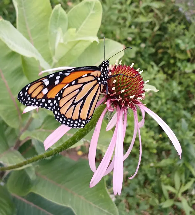 The Wellness Retreat Picture 3