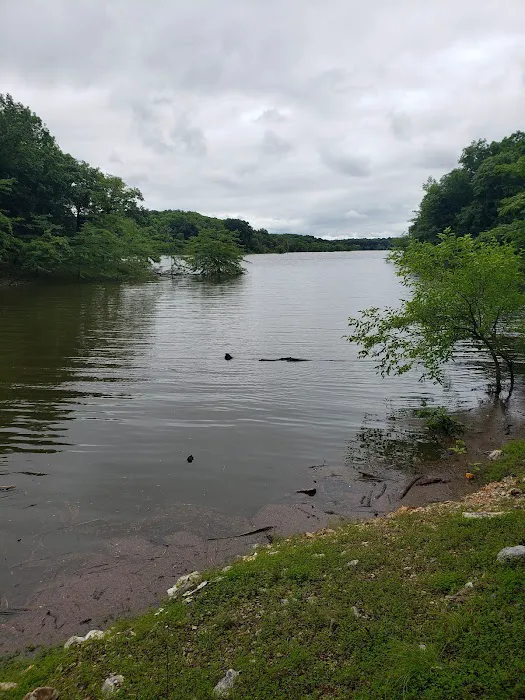 Badger Campground Picture 8