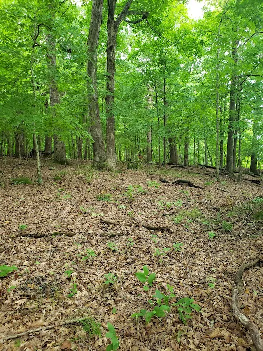 Badger Campground Picture 10