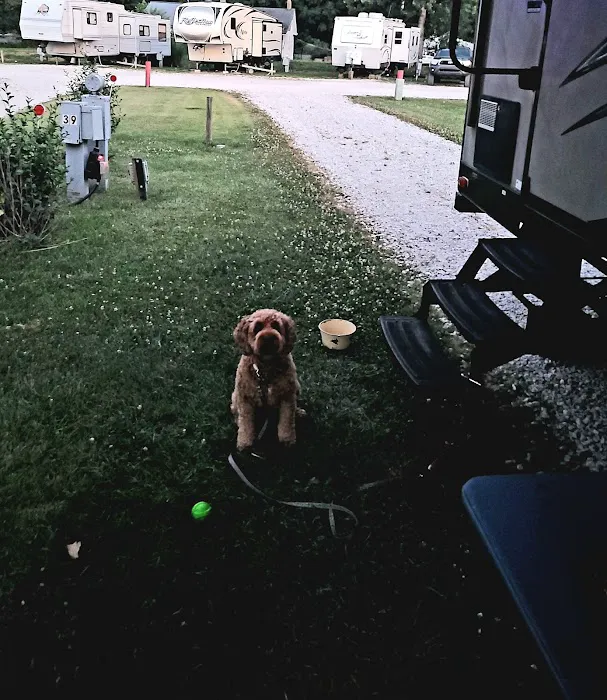 Cozy C RV Campground LLC Picture 4
