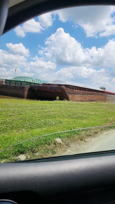 Ron's Place Picture 4