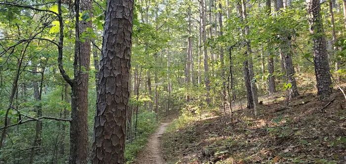 Brazil Creek Campground Picture 7
