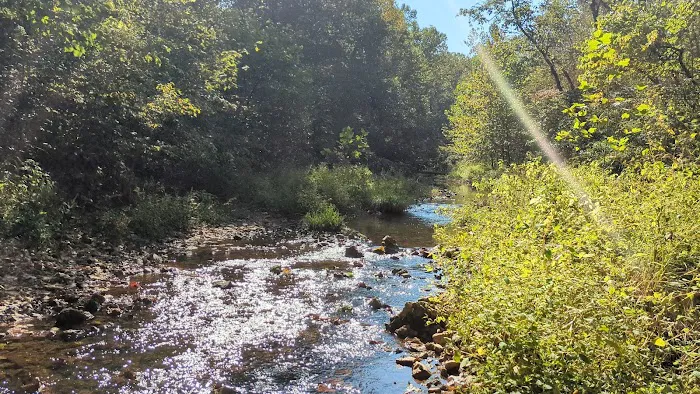 Brazil Creek Campground Picture 3