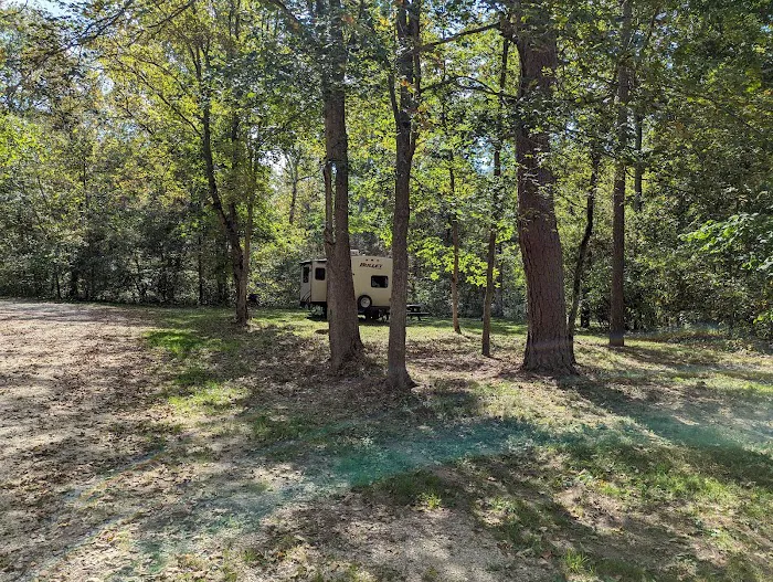 Brazil Creek Campground Picture 2