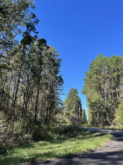 Brazil Creek Campground Picture 9