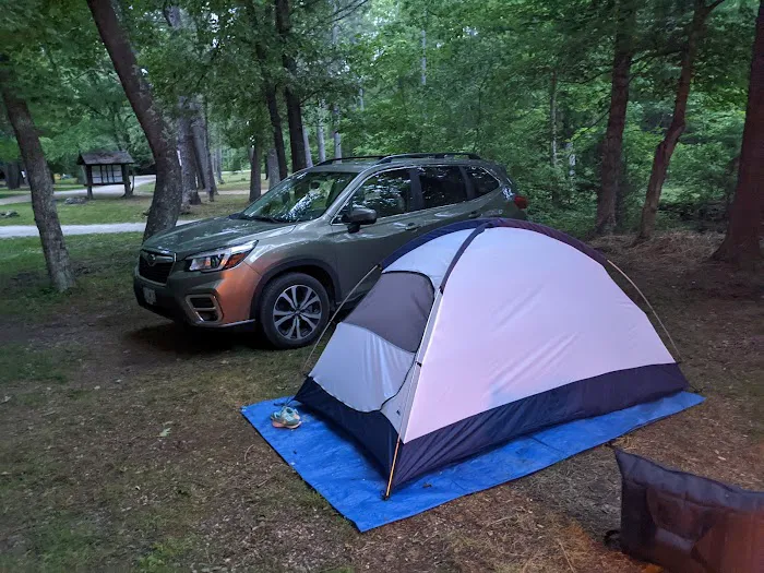 Brazil Creek Campground Picture 8