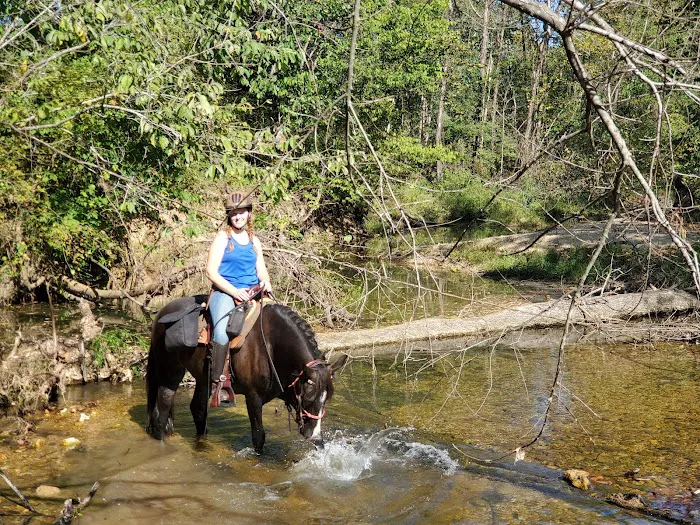 Berryman Campground Picture 8