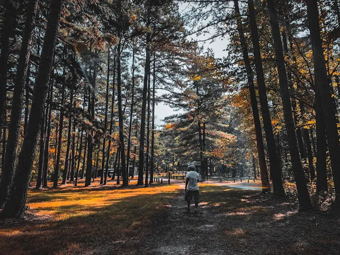 Berryman Campground Picture 9