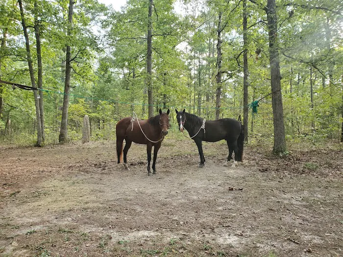 Berryman Campground Picture 7