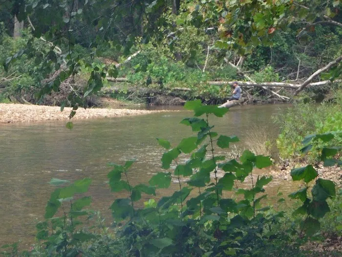 Piranha Cove Picture 4
