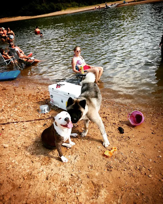 Shady Beach Campground Picture 4