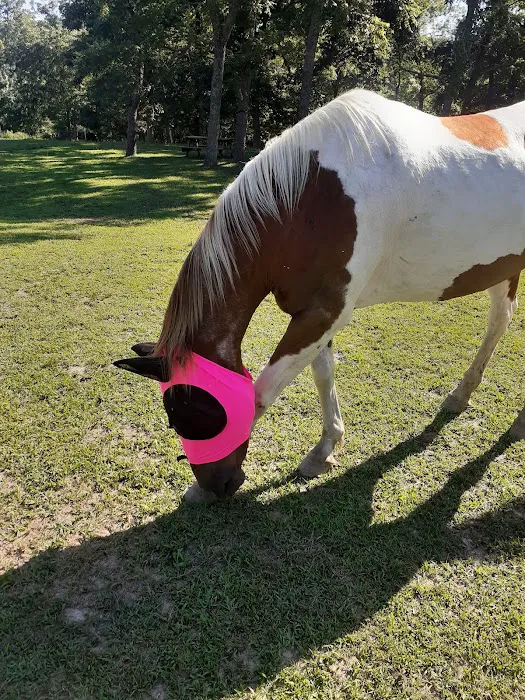 Hummingbird Hollow Outdoors Picture 10