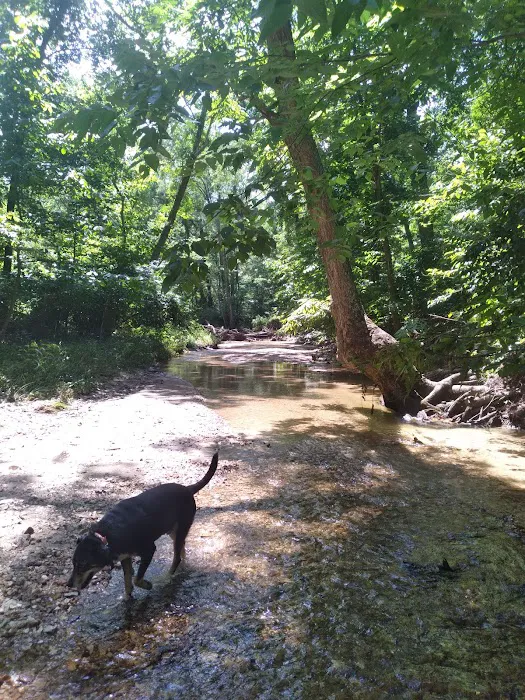 Hummingbird Hollow Outdoors Picture 6