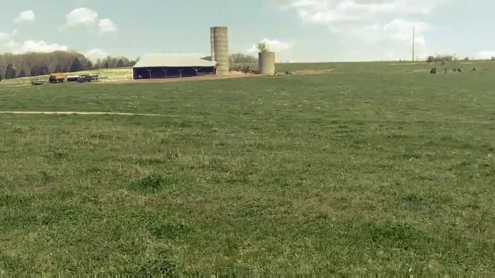 Hawk Arrow Springs Picture 6