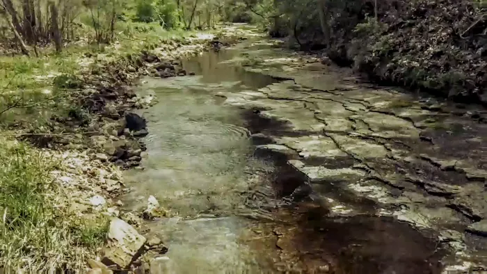 Hawk Arrow Springs Picture 7