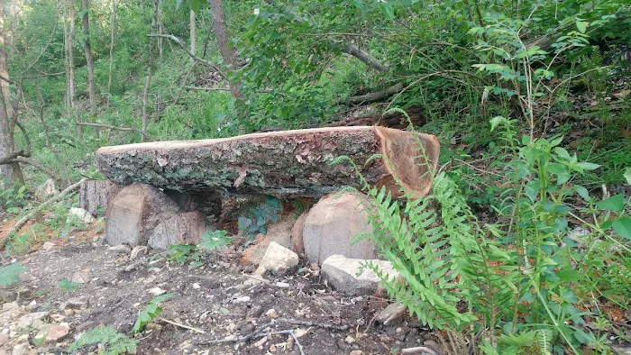 Hawk Arrow Springs Picture 1
