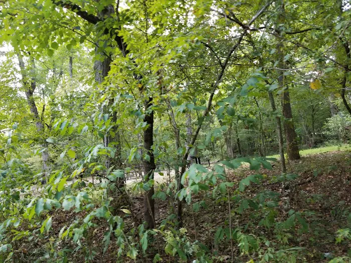Red Bluff Campground Picture 3