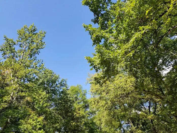 Red Bluff Campground Picture 6