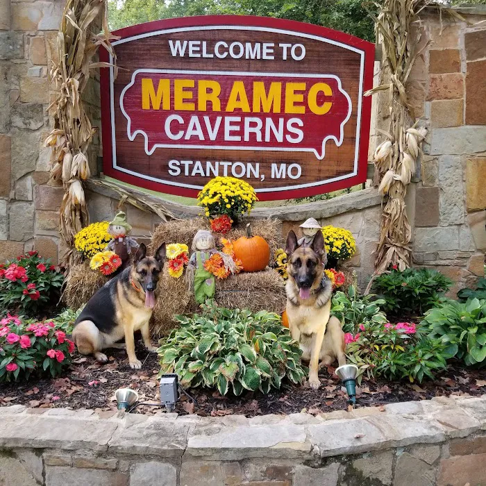 Meramec Caverns Natural Campground Picture 17