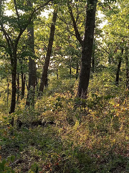 Hickory Ridge Motel Picture 4