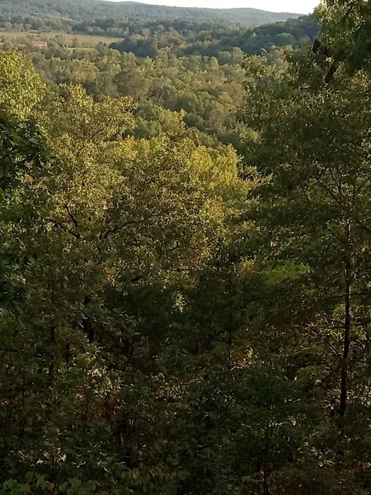 Hickory Ridge Motel Picture 9