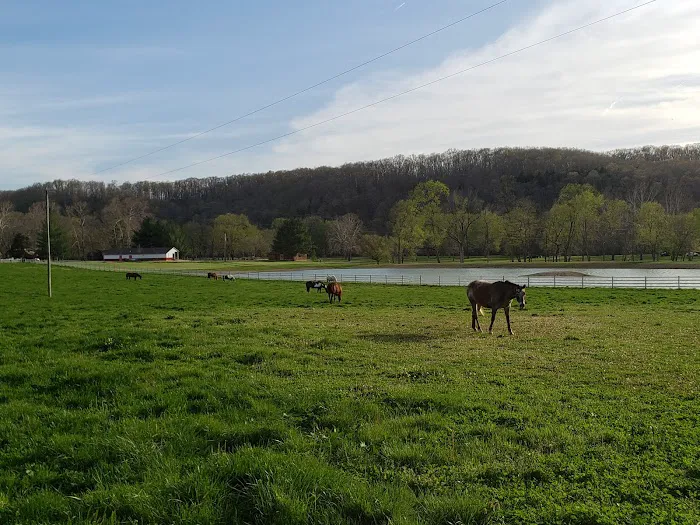 Huzzah Valley Resort Picture 4