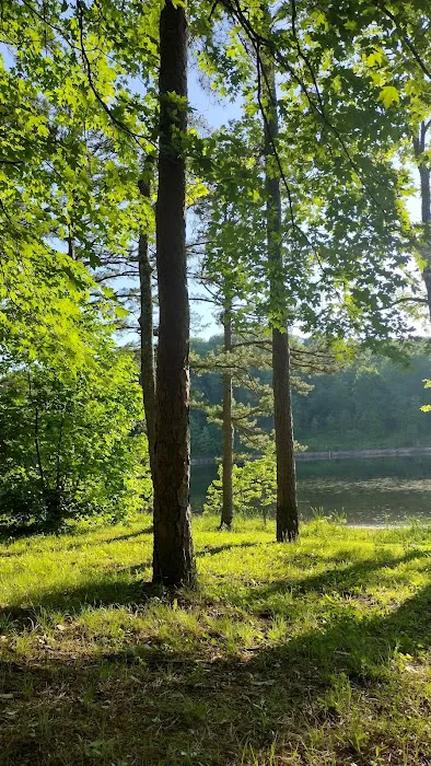 Loggers Lake Campground Picture 7