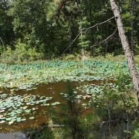 Little Scotia Campground ico