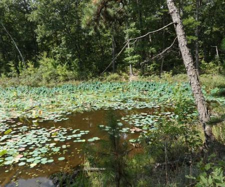 Little Scotia Campground