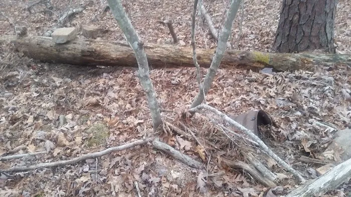 Little Scotia Campground Picture 8