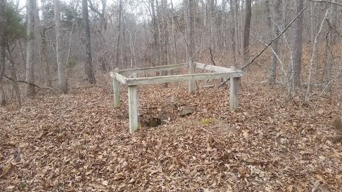 Little Scotia Campground Picture 9