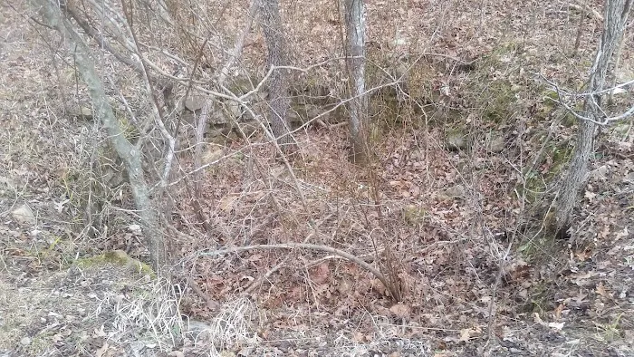 Little Scotia Campground Picture 7
