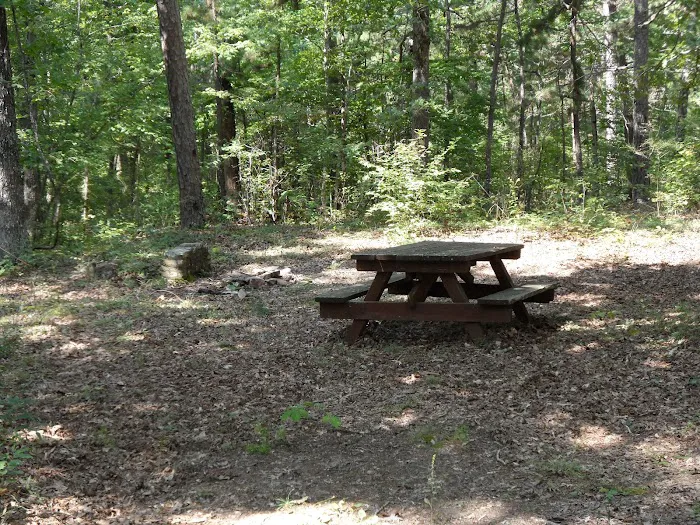 Little Scotia Campground Picture 6