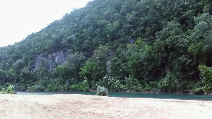Logyard Campground Picture 6