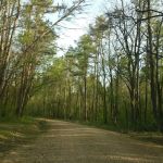 Deer Leap Campground